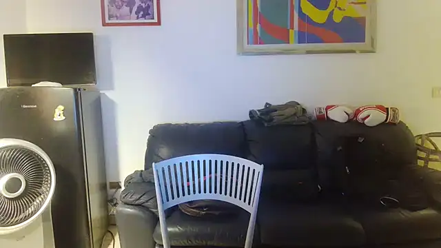 AMIRDIB2025 webcam