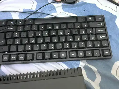 shanizadam webcam