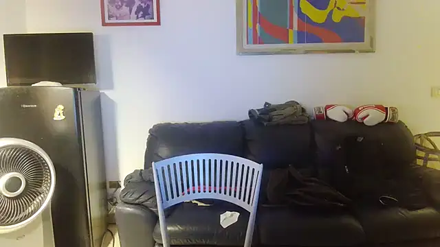 AMIRDIB2025 webcam