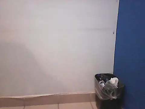 Kalel17073 webcam
