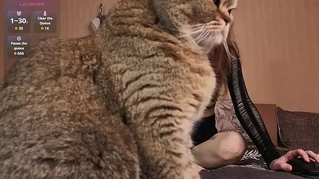just_vvv webcam