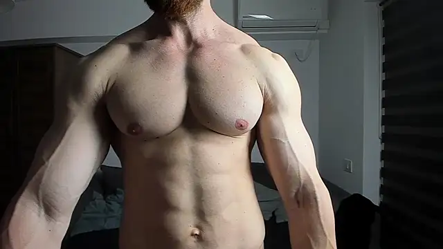 ZkkBlitz webcam