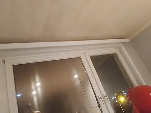 Lul18809 webcam