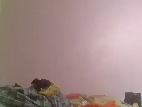 cute_bee webcam