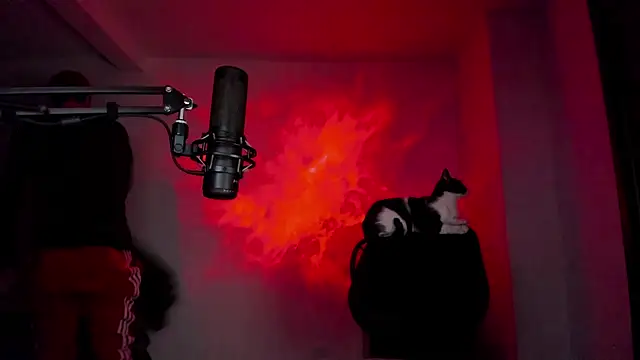 Headhunterdz webcam