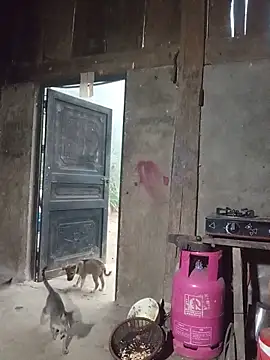heryy_xx's live room