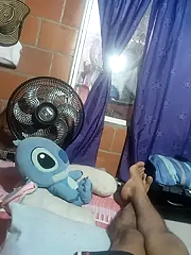 Johann-dari webcam