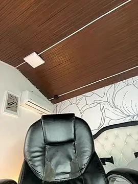 Samir_bear webcam