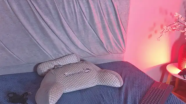 VelvetFox_ webcam