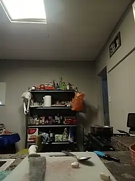 tallneck webcam
