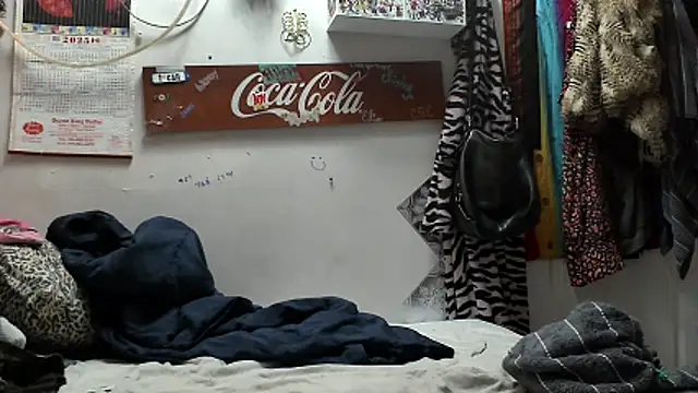 VanillaSnowcones webcam