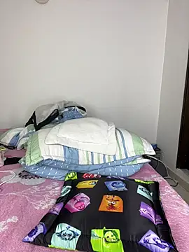 sandylau webcam