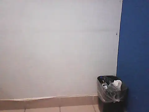 Kalel17073 webcam