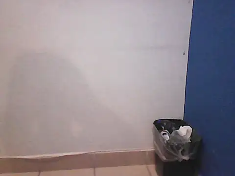 Kalel17073 webcam
