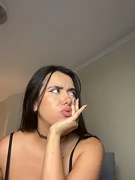Samispank webcam