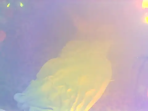 Floschae webcam