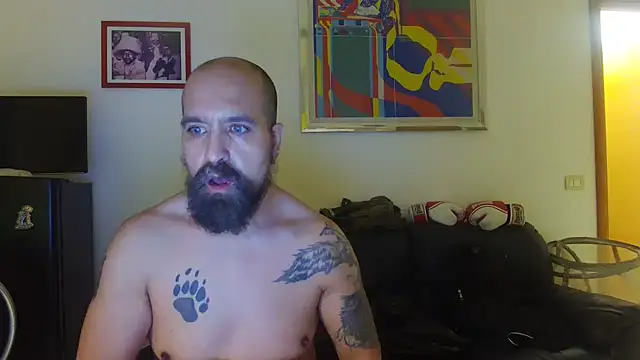 AMIRDIB2025 webcam