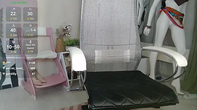BB_Web webcam