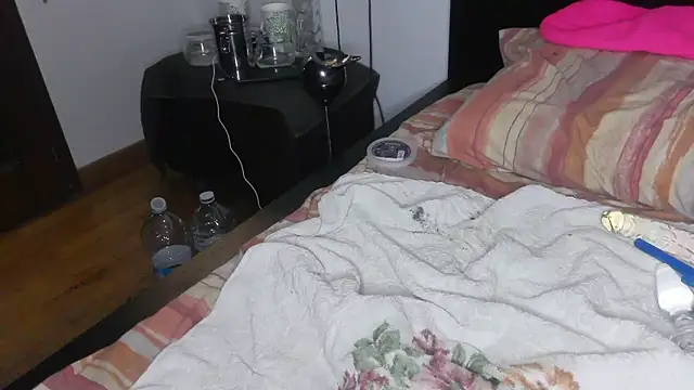 Analvision26 webcam