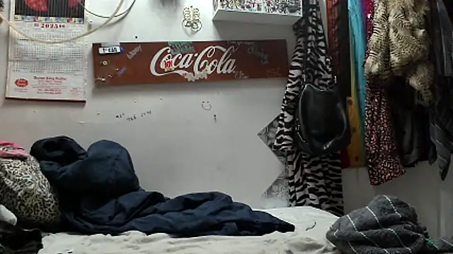 VanillaSnowcones webcam
