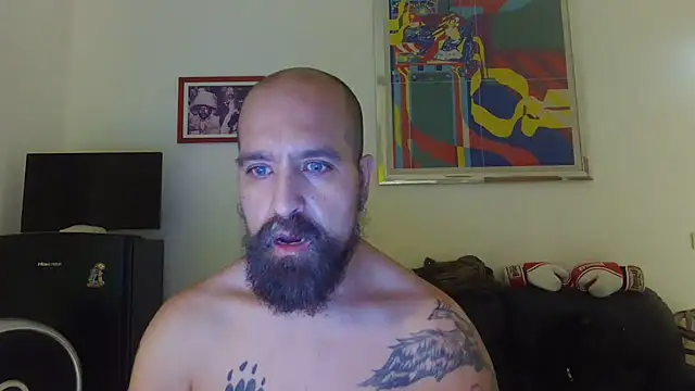 AMIRDIB2025 webcam