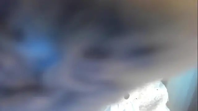 davincihugecock webcam