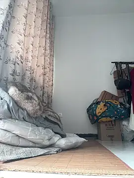 daaqnn webcam