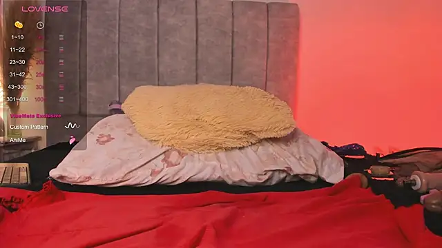 fuckyou_alexa webcam