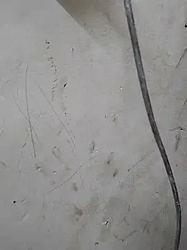 Rani_janam_ webcam