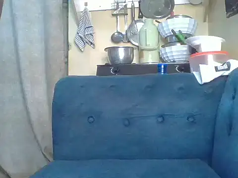 babyzillan webcam
