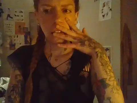 plsmecha webcam