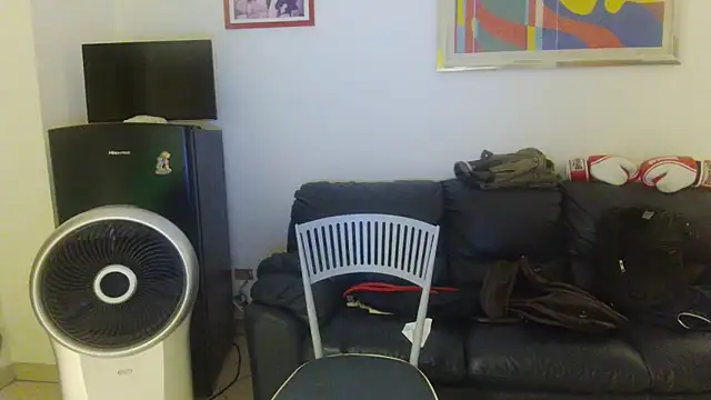 AMIRDIB2025 webcam