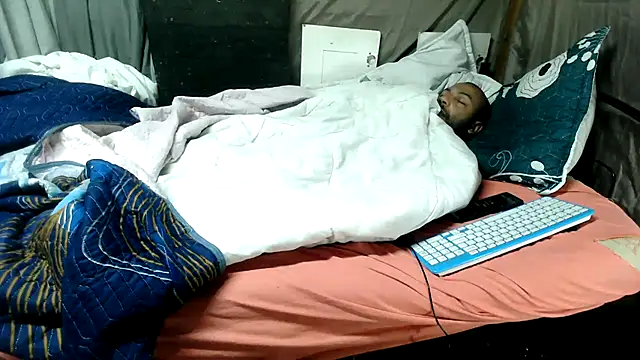 Camodick webcam