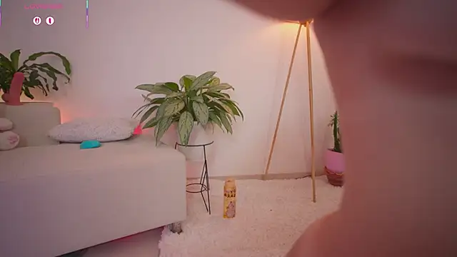roxie_gates_ webcam