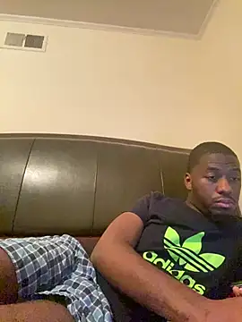 ThickDic28 webcam