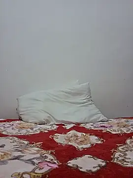 altinya webcam