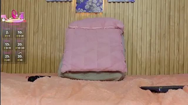 Moonceleste webcam