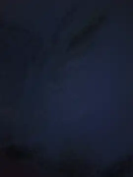 alexpo27 webcam