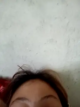 embe1144 webcam