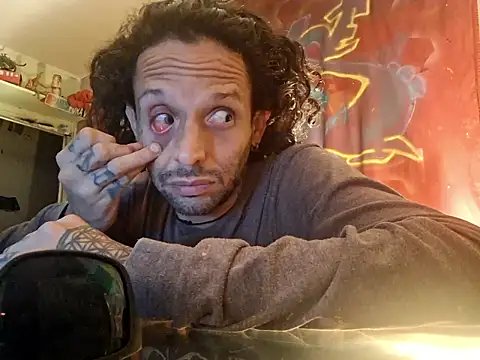 Toycockhot webcam