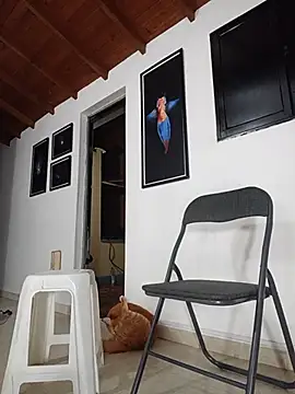 SilvaBranko webcam
