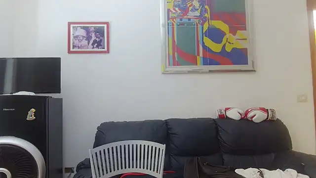 AMIRDIB2025