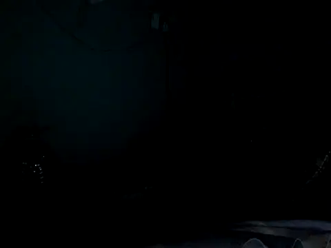 funalu webcam