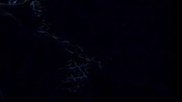butttslut webcam
