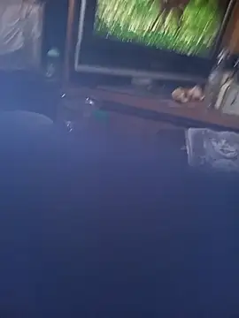 ZLOZ60 live cam