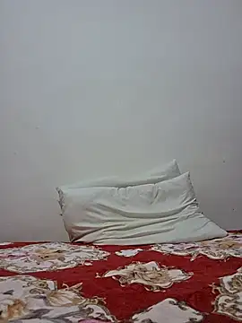 altinya webcam