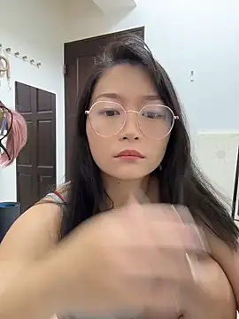 wt0314 webcam