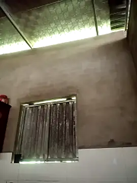 toyo_668 webcam
