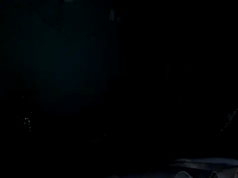 funalu webcam