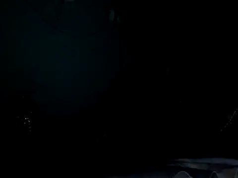 funalu webcam